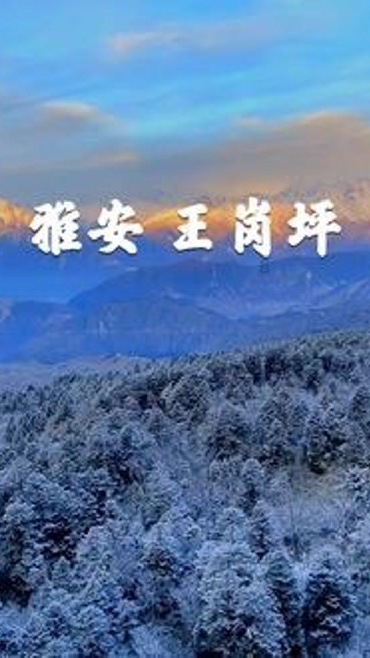 为什么对讲机每次通话结束后,都要说“over”