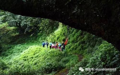 黄球大冒险无敌版