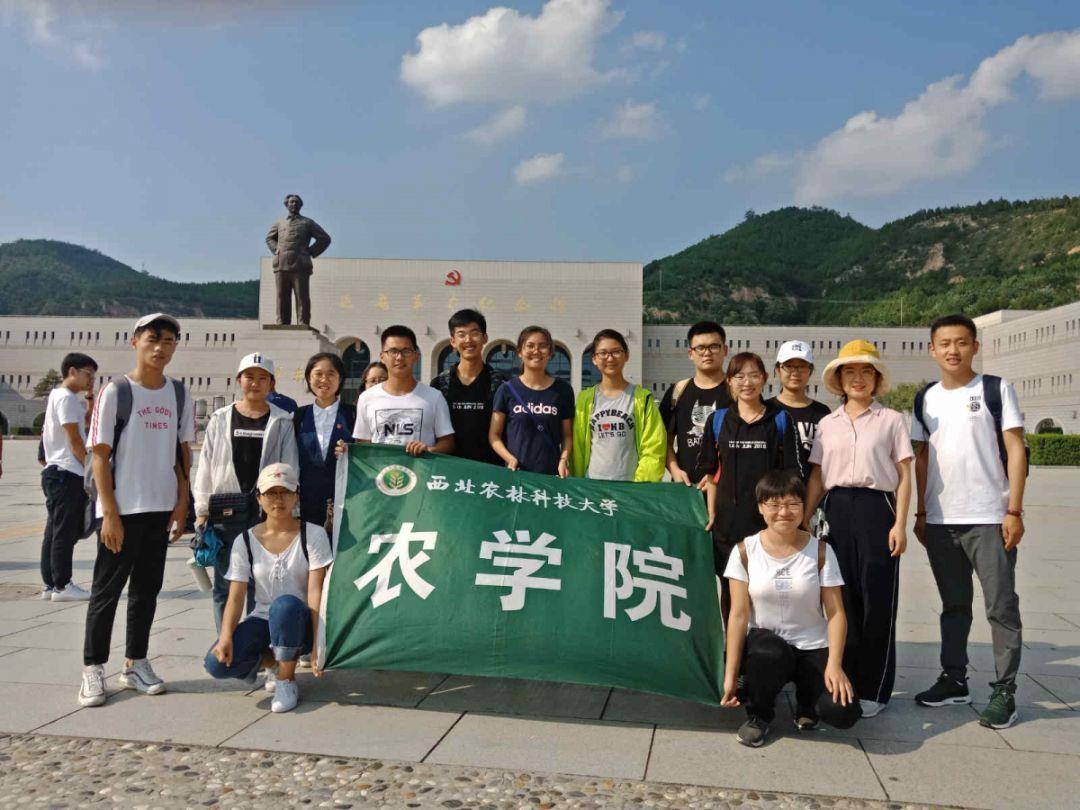 杭州气象台发布大雾黄色预警!明天上班早出门